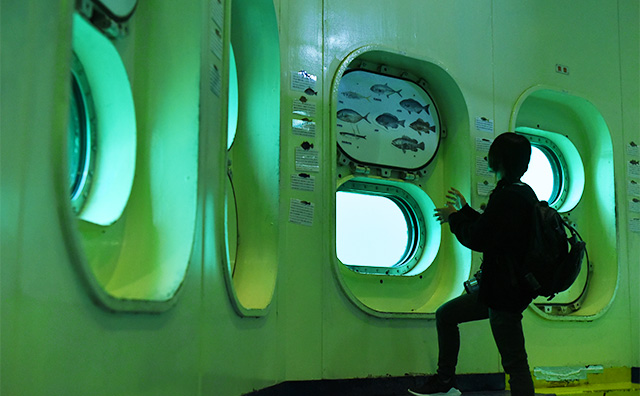 かつうら海中公園 海中展望塔内