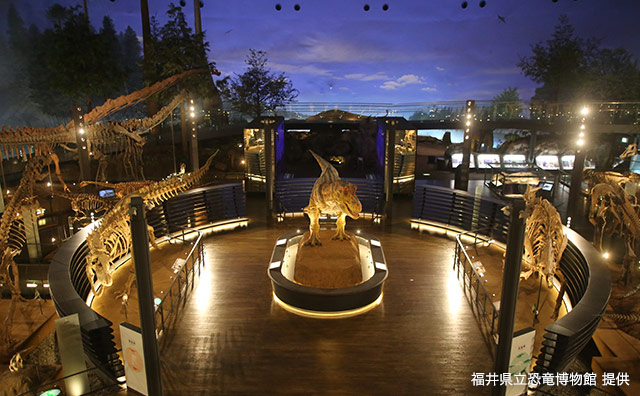 リニューアルした展示室「恐竜の世界」