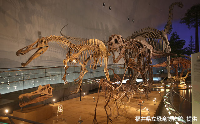 福井県立恐竜博物館　展示室1F「恐竜の世界」