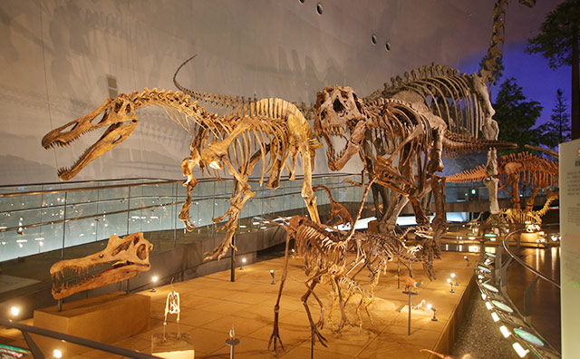 恐竜の世界　（画像提供：福井県立恐竜博物館）