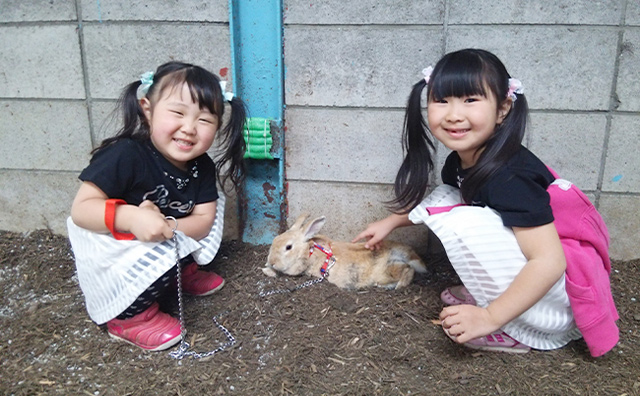 伊香保グリーン牧場　うさんぽ