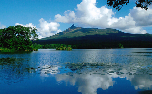 大沼国定公園　新緑の季節
