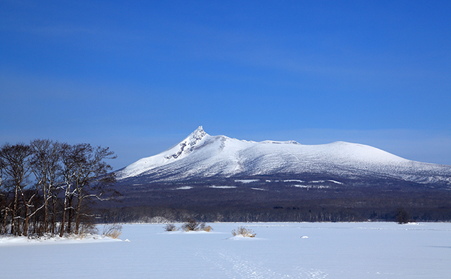 大沼国定公園　冬