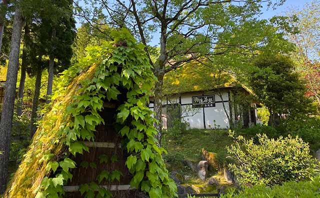 御抹茶処　方丈庵