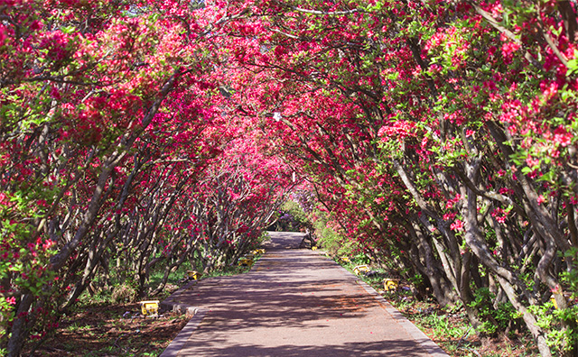 小室山公園