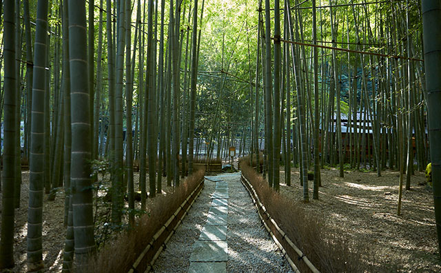 江ノ電・鎌倉高校前の踏み切り