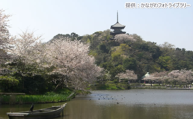 三溪園