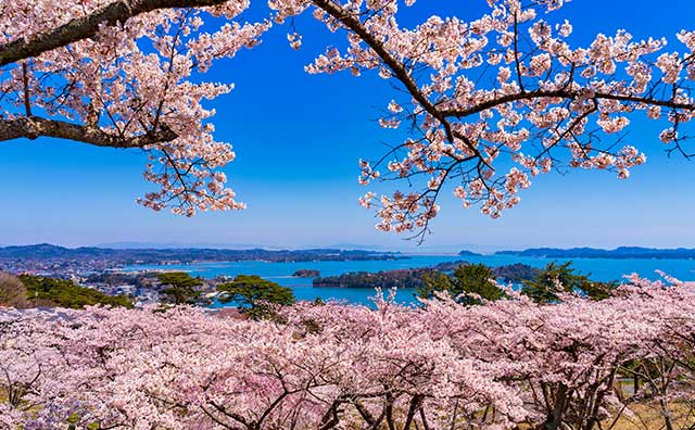 西行戻しの松公園