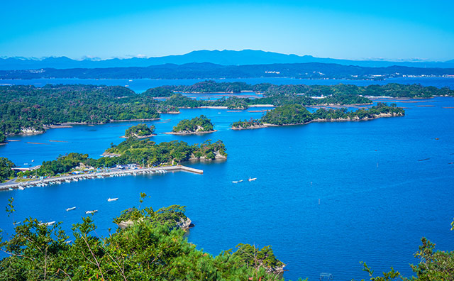 松島四大観　「壮観・大高森」