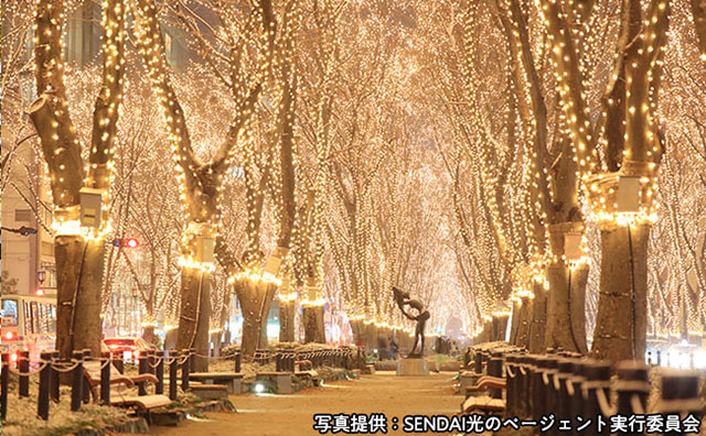 SENDAI 光のページェント