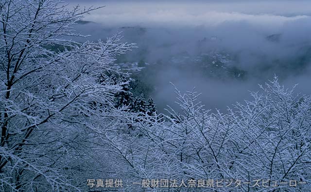 吉野山　雪の朝　樹氷