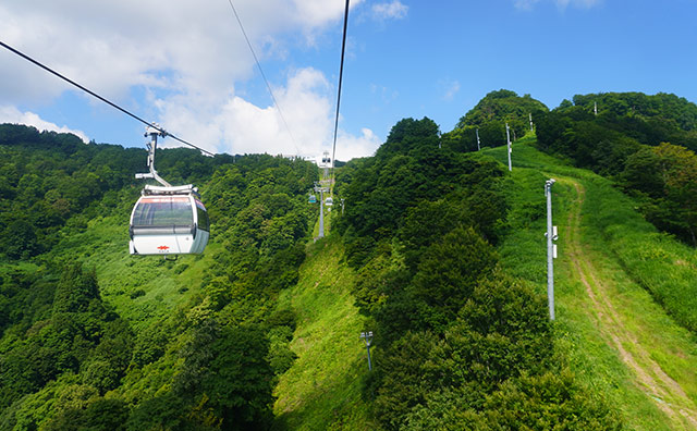 ＜GALAサマーパーク＞夏のGALAでアクティビティを楽しもう♪ GALAサマーパーク入場券付きプラン