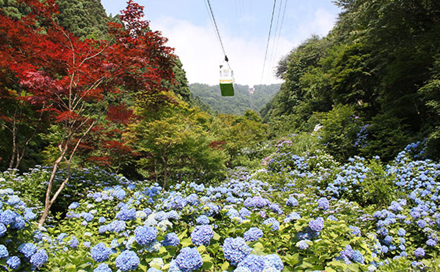 弥彦山ロープウェイ