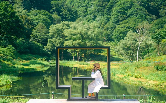 湯沢高原パノラマパーク・アルプの里