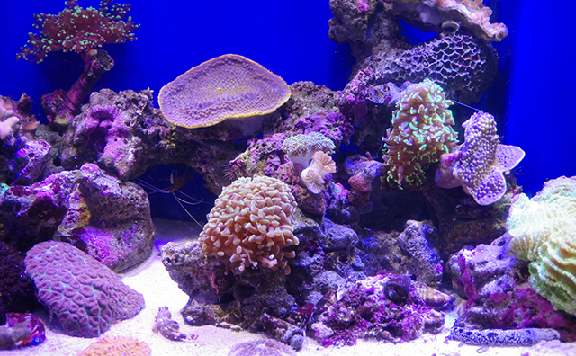 沼津港深海水族館