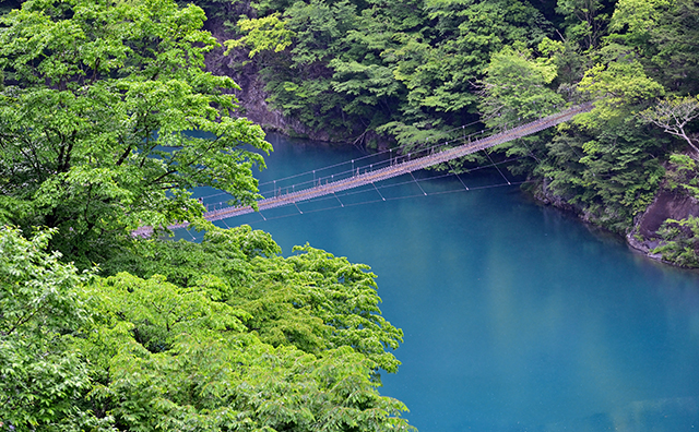 寸又峡　夢のつり橋
