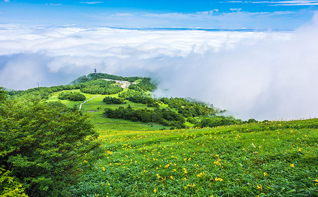 日光市霧降高原 キスゲ平園地