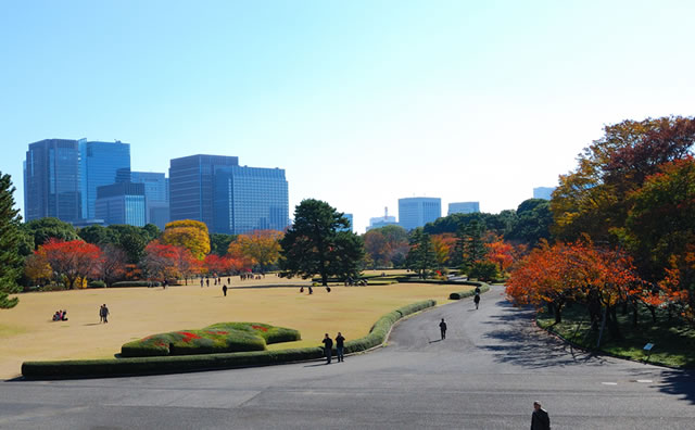 皇居東御苑の風景