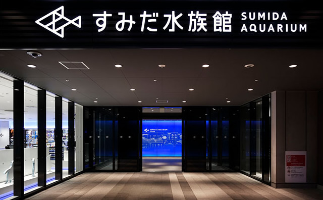 すみだ水族館