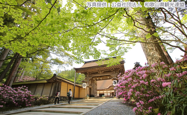 新緑の金剛峯寺(写真提供:公益社団法人 和歌山県観光連盟)