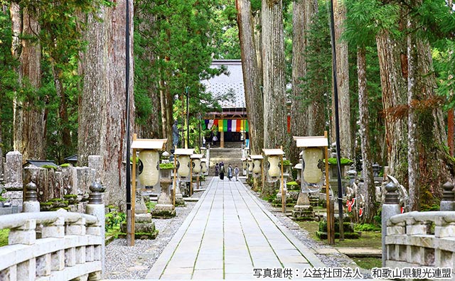 高野山 奥之院(写真提供:公益社団法人 和歌山県観光連盟)