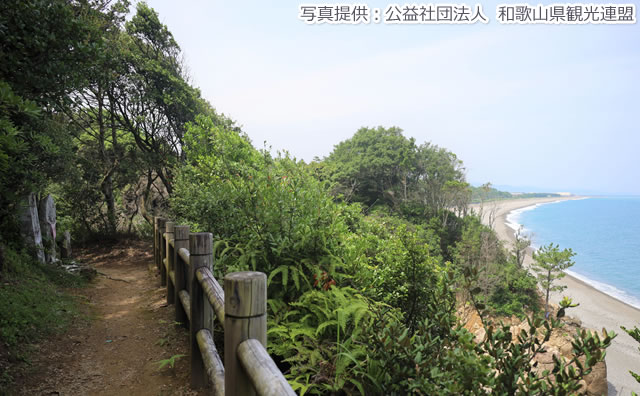 熊野古道 高野坂