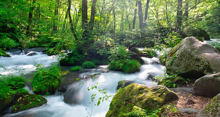 青森県の観光の魅力って？青森観光で押さえておきたいおすすめポイントをチェック