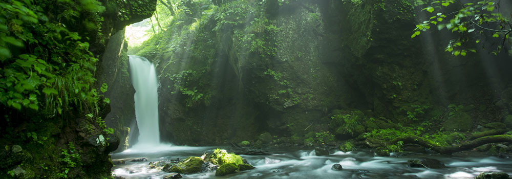 日本を代表する避暑地・軽井沢。夏の旅行のおすすめは？