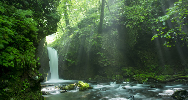 日本を代表する避暑地・軽井沢。夏の旅行のおすすめは？