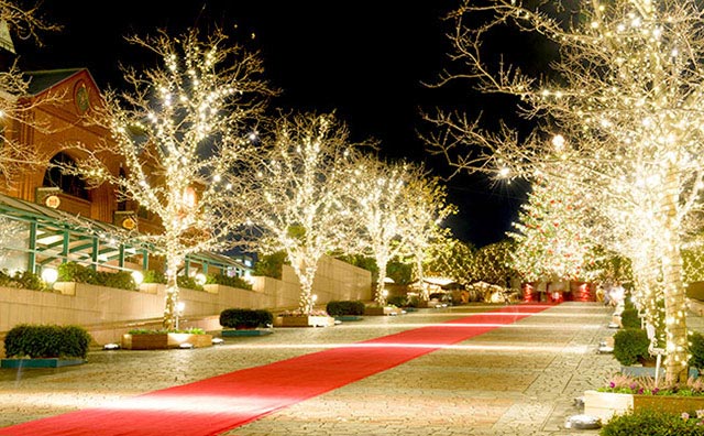 関東のおすすめイルミネーションスポット10選！まさに冬の風物詩