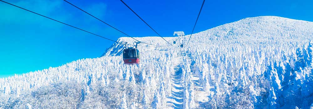【最新】東日本おすすめのスキー場21選！各エリアの魅力をくわしく解説