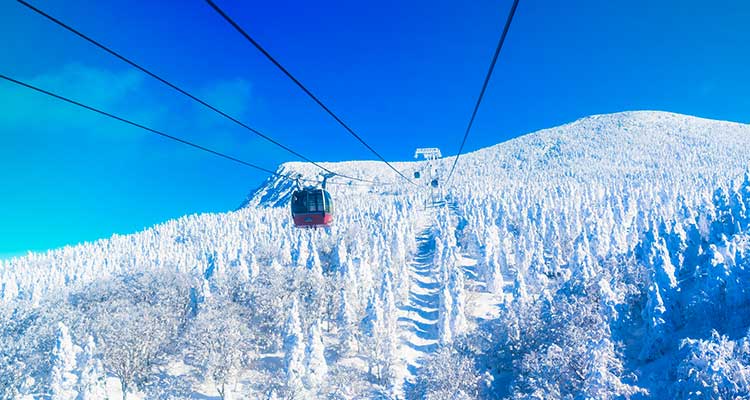 【最新】東日本おすすめのスキー場21選！各エリアの魅力をくわしく解説
