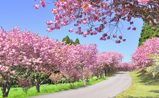 トラピスト修道院