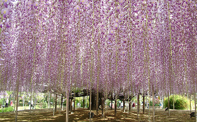  GWの旅行におすすめのエリアやスポットをご紹介！