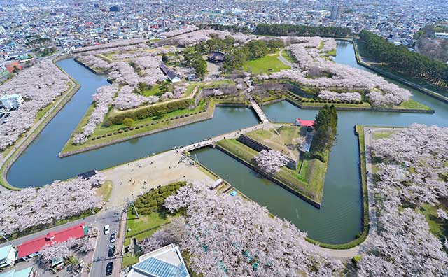 五稜郭公園
