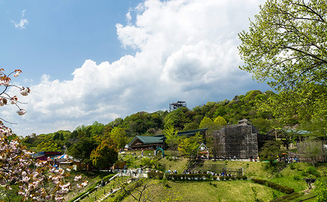 さがみ湖リゾート　春
