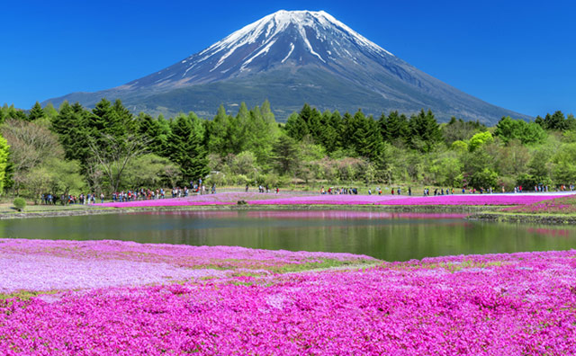 GWはどこ行く？何する？おすすめの過ごし方と遊び場を紹介