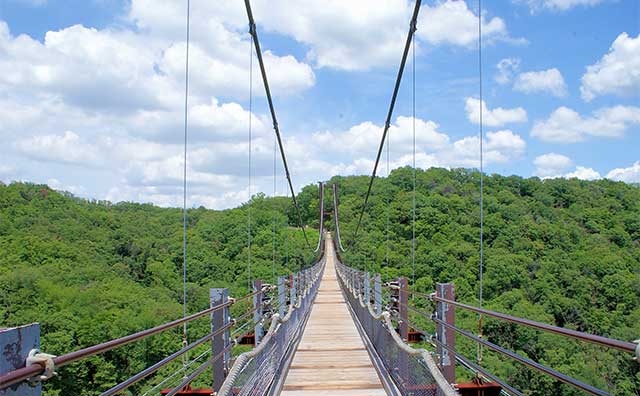 大阪府民の森 ほしだ園地