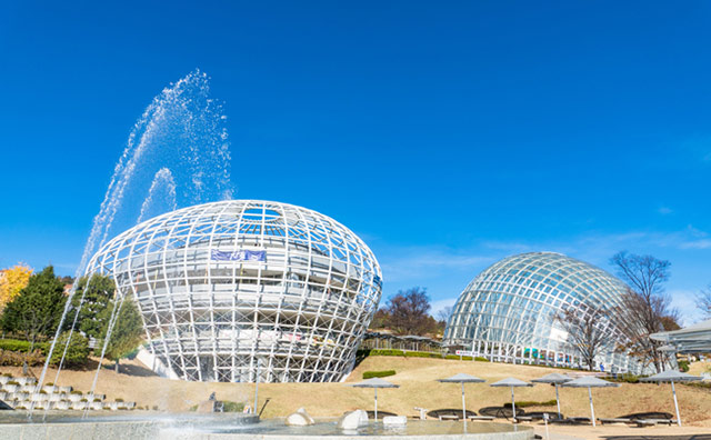 笛吹川フルーツ公園