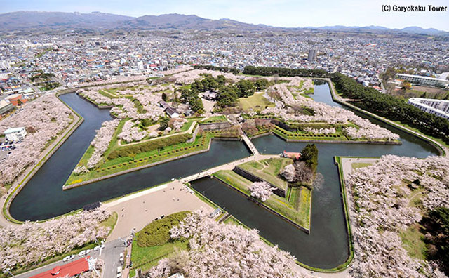 五稜郭の桜