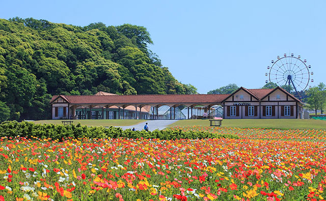 東京ドイツ村