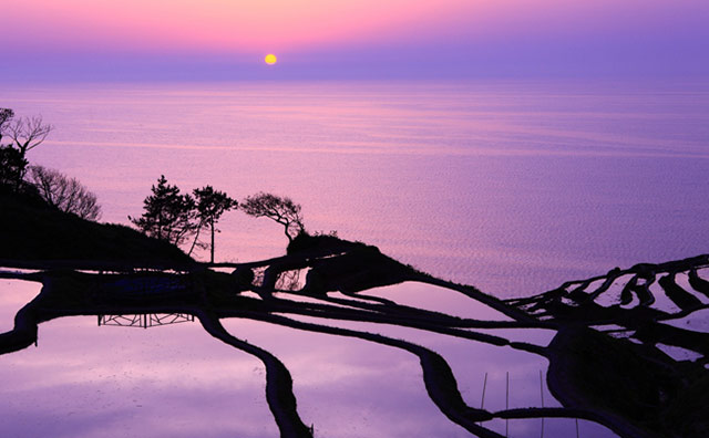 白米千枚田の夕景