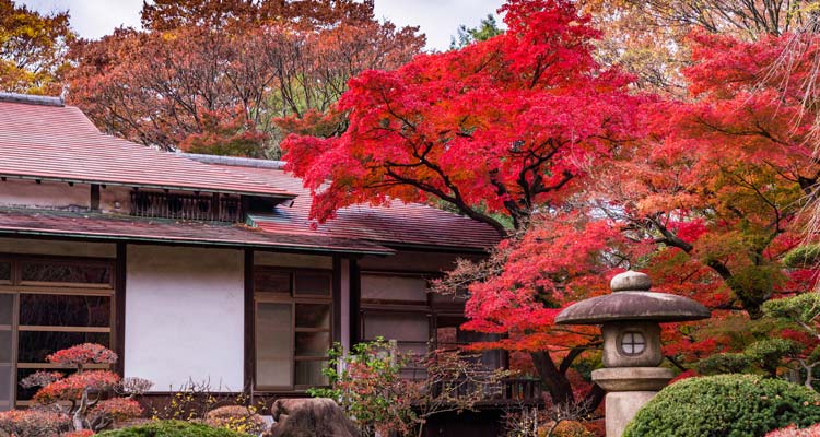 紅葉の季節到来！列車でも行ける関東の穴場スポット