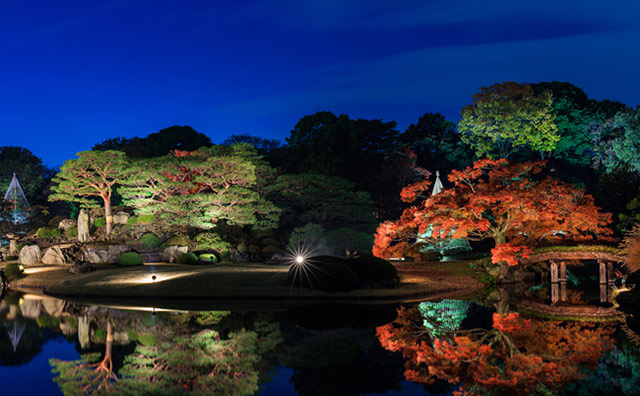 六義園のライトアップ