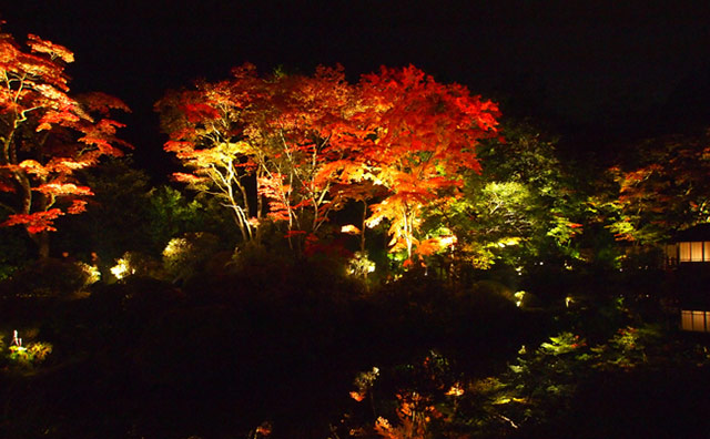 日光山輪王寺のライトアップ