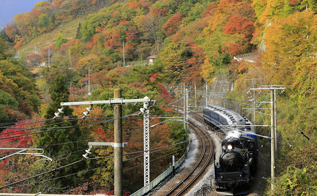 諏訪峡周辺　SLを楽しみながらの紅葉も格別