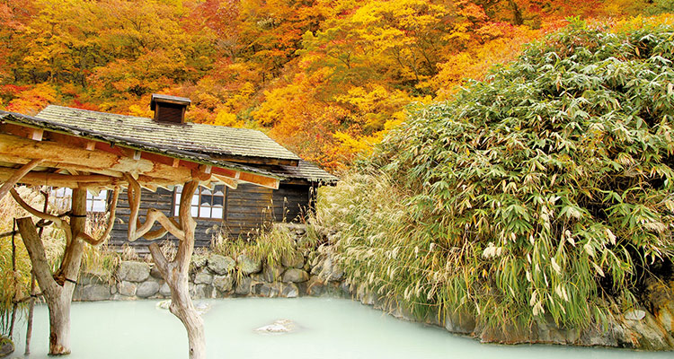 【関東・東北】温泉も紅葉も楽しみたい！列車で行く秋のよくばり旅