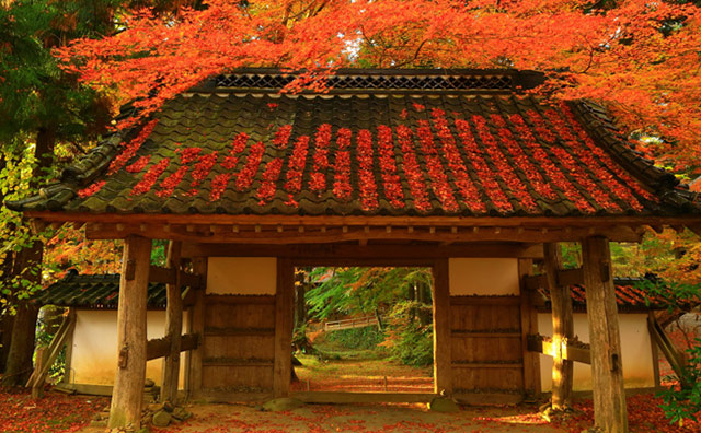 中尊寺 大長寿院