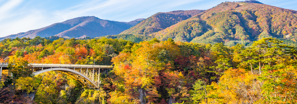 色とりどりの大自然に触れる！東北の紅葉スポット