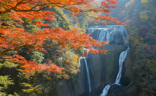 秋の袋田の滝